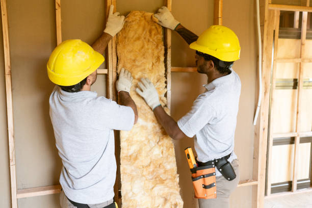 Best Attic Insulation Installation  in High Ridge, MO