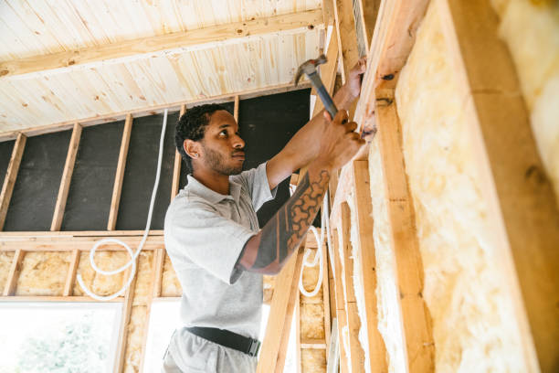 Best Crawl Space Insulation  in High Ridge, MO